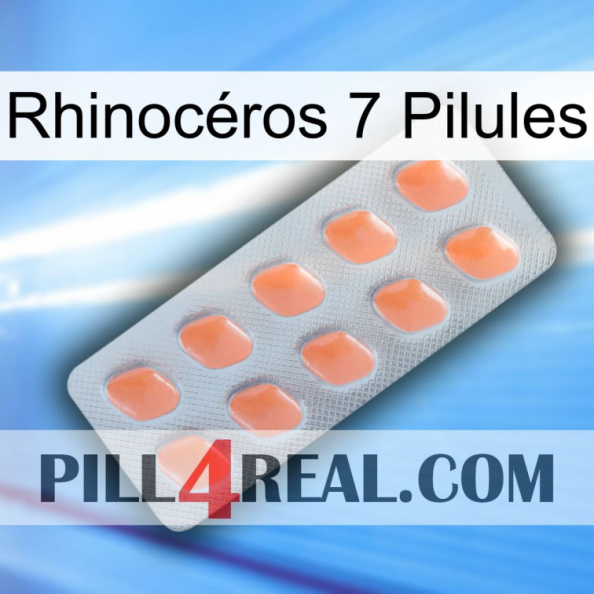 Rhinocéros 7 Pilules 26